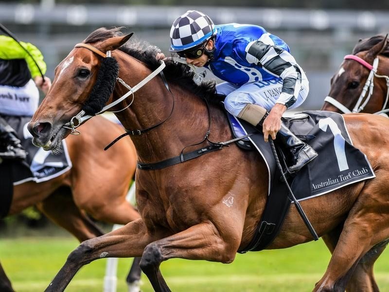 Doukhan wins at Canterbury