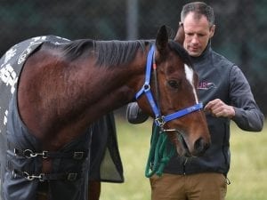 Williams chases 6th Cup, Scotland its 1st