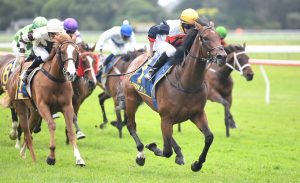 Devastate snares Wellington Stakes