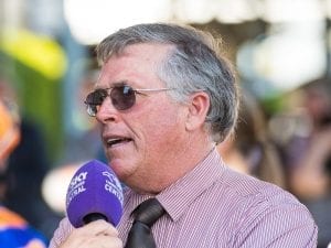 Consistent Tregea horses after stakes wins