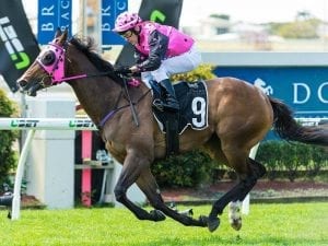 Stella Victoria takes black type race