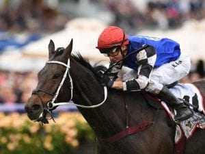 Shraaoh too strong first-up at Flemington