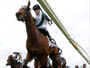 Boom Time settles into Japan ahead of Cup