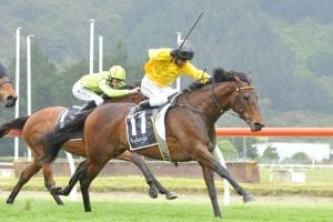 High Spirits scratched from Cup