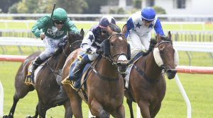 Hold The Press upsets in Levin Stakes