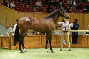 Successful pinhook for Woburn Farm