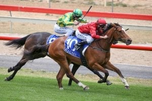 Royal Ascot scratching makes winning debut