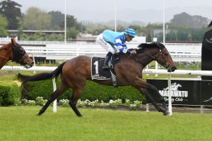 Smart 3YO partnership’s latest success story