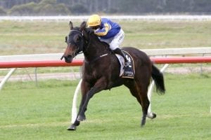 Melt ready to fly in Guineas