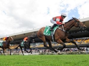 King steers Carillon to Highway win