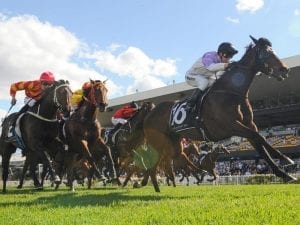 Rosehill treble for Kerrin McEvoy