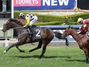 Sky Boy continues winning ways at Rosehill