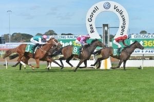 Geelong Horse Racing Tips & Best Bets - Monday, 23 November 2020