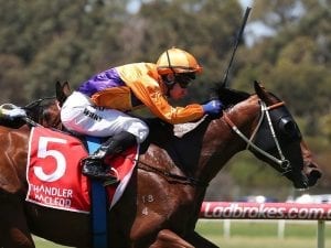 Sandown pair destined for higher company