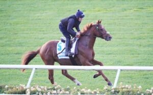 Favourite Vauban draws perfect barrier for Melbourne Cup