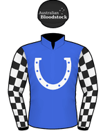 Lastotchka Silks