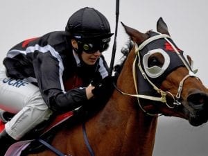 Jungle Edge wins again in wet at Sandown