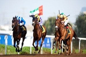 Rio Tigre Banks Jebel Ali Feature; Bin Harmash Lands Treble