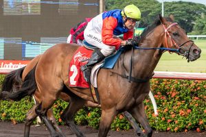 Barry Huppatz on Blue Odyssey at Darwin