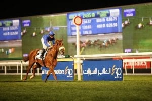 Money Burns Opposition In Abu Dhabi Feature