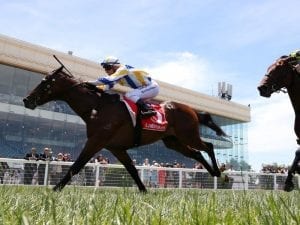 Gelded Ollivander to resume at Flemington