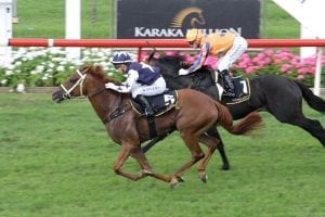 Scott Base winning the Karaka 3yo Classic