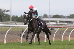 Zee Falls finds winning groove in Karaka Cup