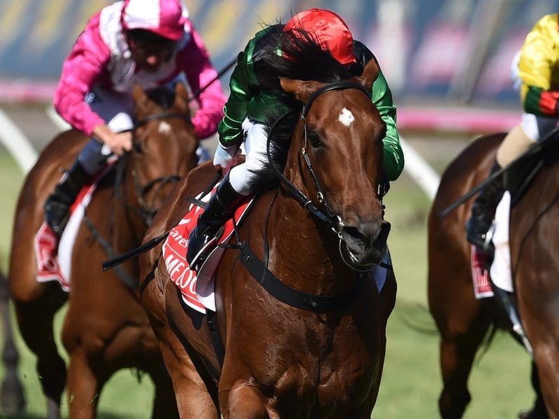 Turn Me Loose wins the Emirates Stakes at Flemington