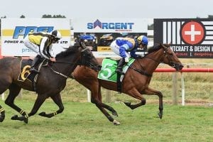 Cambridge raider too strong in Wairarapa Cup