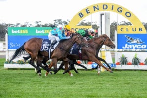 Horse racing at Bendigo