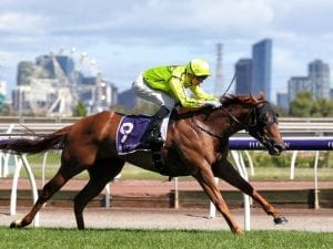 All-Star Mile hopes for Mr Money Bags