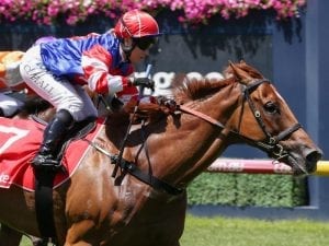 Mystyko makes it a hat-trick at Caulfield