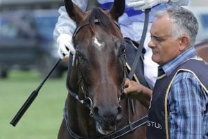 Cote D'Or resumes with a win ahead of G1 conquest