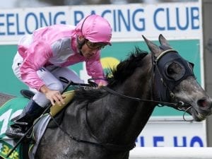 Urban Ruler prepares for All-Star Mile bid