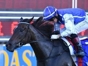 Plucky Girl back on track for Doomben