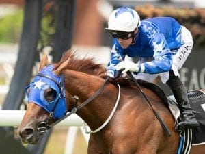 Meet Mr Taylor breaks Eagle Farm record