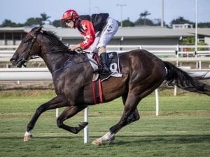 Trainer Pascoe in first metropolitan win