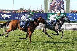 Guineas tilt hangs in the balance for Emily Margaret