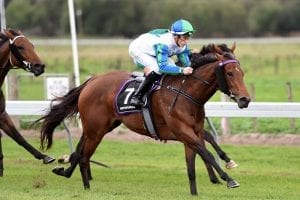 Flamingo flies in Breeders’ Stakes