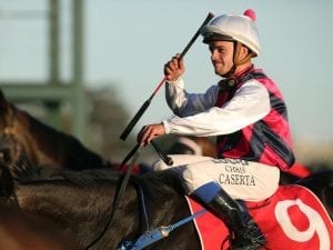 Jockey Chris Caserta charged with betting