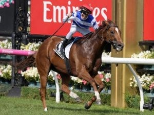 Chautauqua heads Newmarket Hcp weights