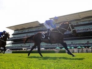 Maximum of nine rivals for Winx