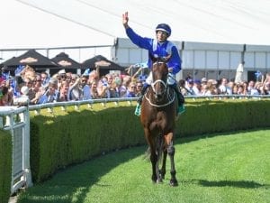 Six rivals for Winx in Chipping Norton