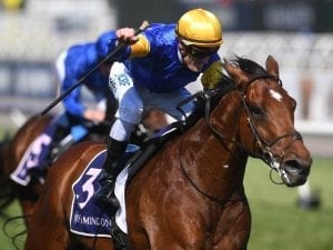 Newmarket option for Santa Ana Lane return