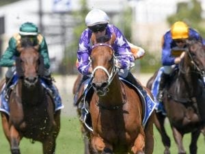 Fiesta to keep winning feeling in Surround