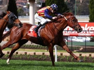 Owners preparing to transfer Weir horses