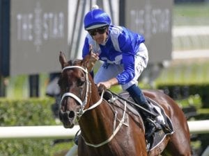 Winx primed for fourth Chipping Norton