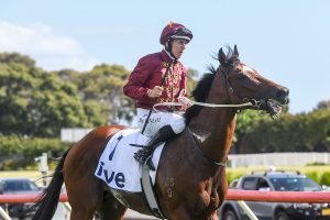 Jacquinot heads bumper Australian Guineas field