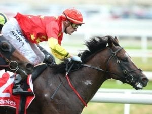 Russian Revolution wins Oakleigh Plate