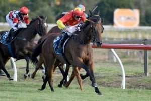 Queen of Diamonds too strong in Lowland